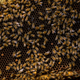 Image for article titled I Yearn to Scream With My Entire Body Like These Bees